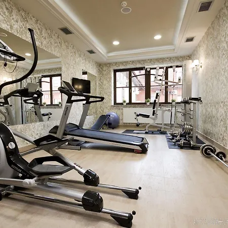 Korona & Wellness 호텔
